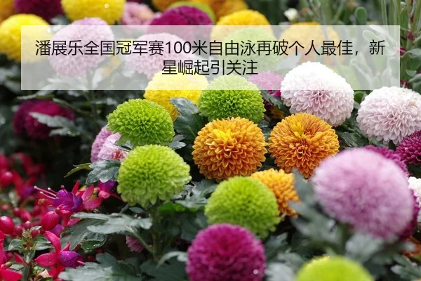 潘展乐全国冠军赛100米自由泳再破个人最佳，新星崛起引关注