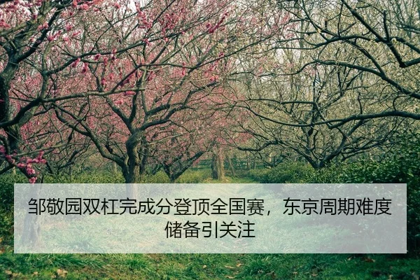 zou-jing-yuan-shuang-gang-wan-cheng-fen-deng-ding-quan-guo-sai-dong-jing-zhou-qi-nan-du-chu-bei-yin-guan-zhu-2-288.jpg