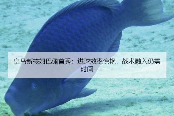 huang-ma-xin-he-mu-ba-pei-shou-xiu-jin-qiu-xiao-lv-jing-yan-zhan-shu-rong-ru-reng-xu-shi-jian-3-170.jpg
