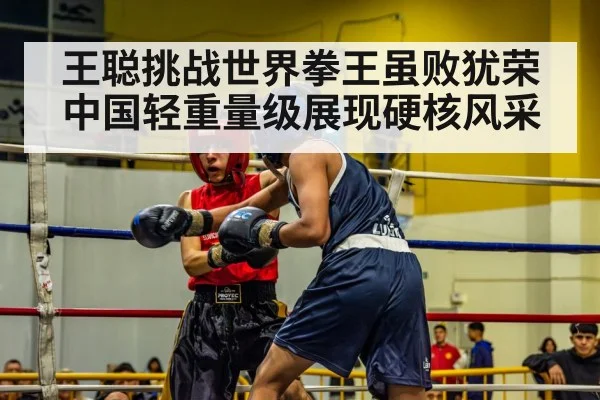 boxer in action