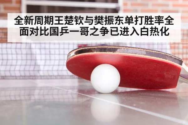 ping pong training